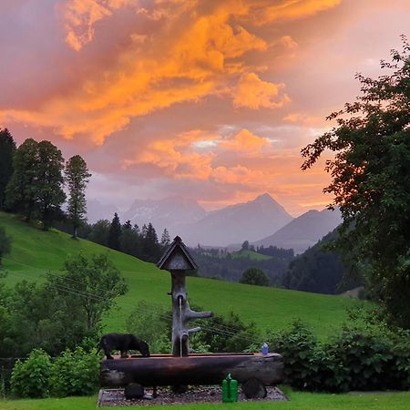 Biobauernhof Schoettelbauer Rosenau am Hengstpass Exteriér fotografie