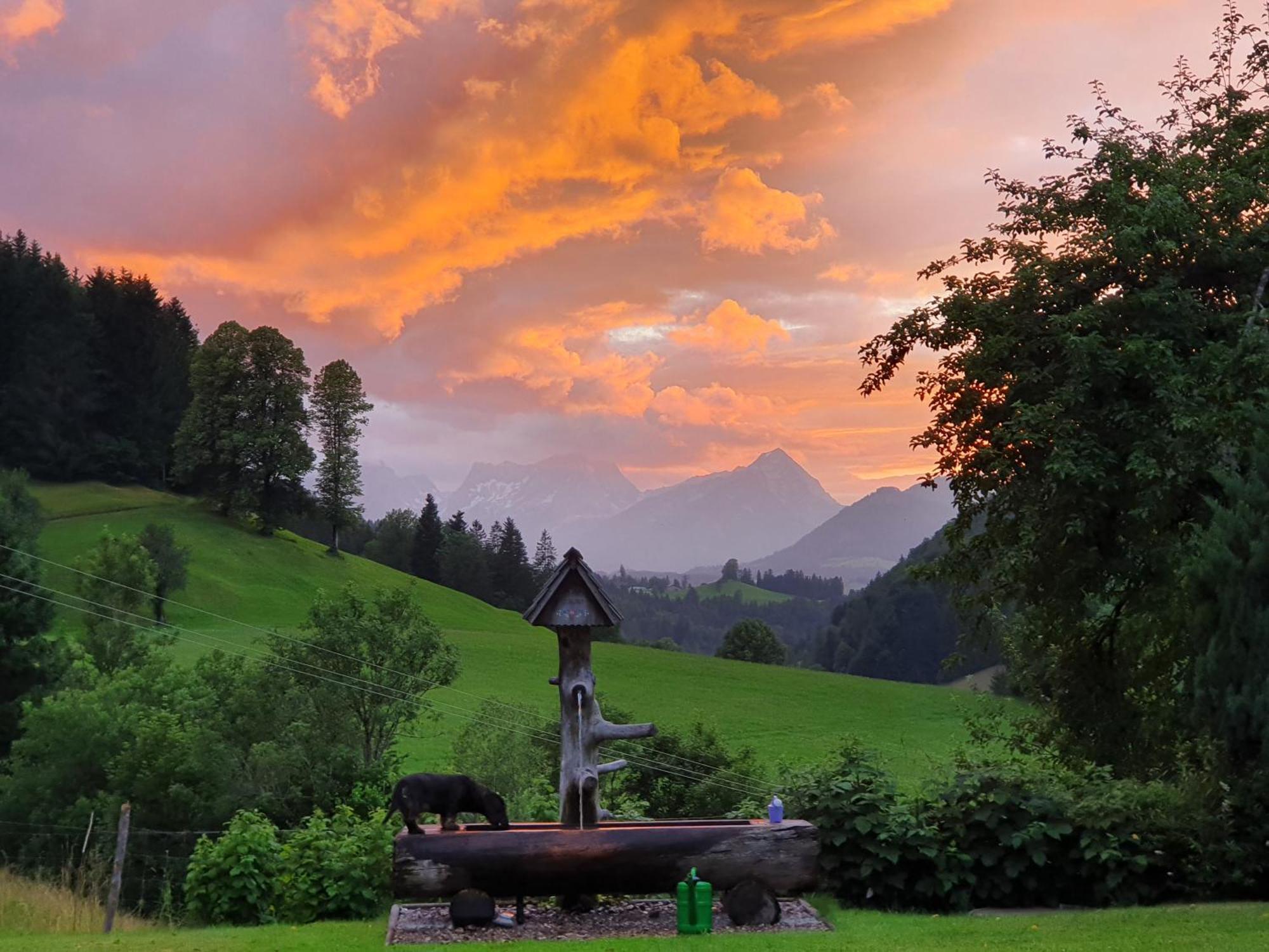 Biobauernhof Schoettelbauer Rosenau am Hengstpass Exteriér fotografie