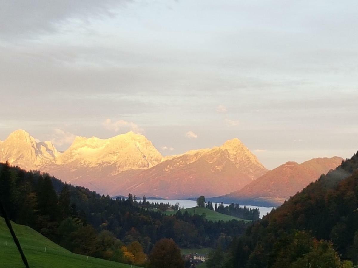 Biobauernhof Schoettelbauer Rosenau am Hengstpass Exteriér fotografie